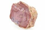 Polished Pilbara Agate Nodule - Oldest Known Agate #279785-1